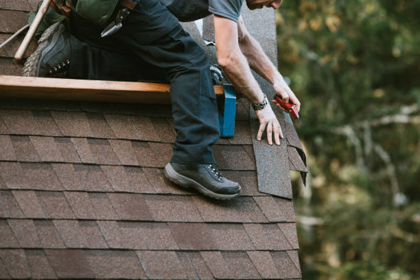 Best Local Roofing Companies  in Duncannon, PA